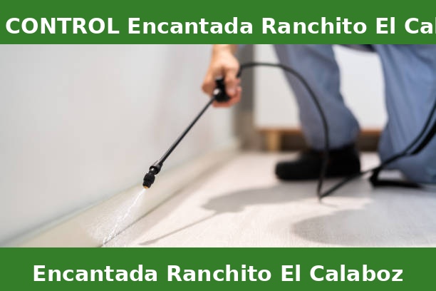 PEST CONTROL Encantada Ranchito El Calaboz